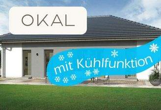 Bungalow 1 Walmdach Aktion