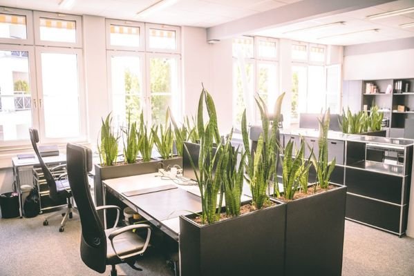 Coworking - Arbeitsplätze