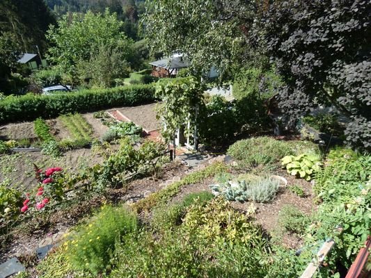 Blick in den Garten 