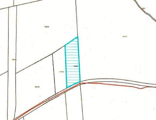 Parzellenplan Amtlich.jpg