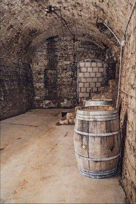 Weinkeller 2