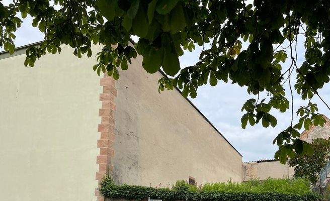 Garten Straßenseite