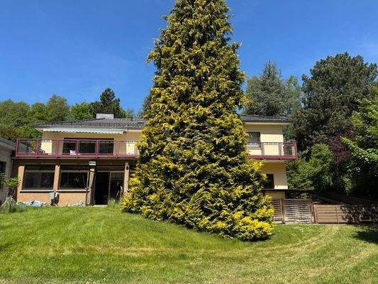 Gartenansicht im Sommer