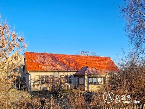 Küstriner Vorland / Manschnow Häuser, Küstriner Vorland / Manschnow Haus kaufen