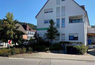 Hausansicht und TG Einfahrt