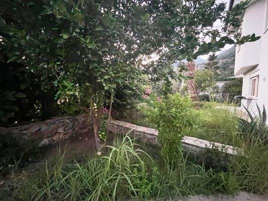 WhatsApp Image 2024-08-15 at 20.02.43 (1).jpeg