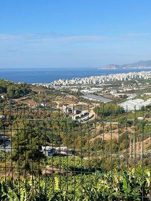 WhatsApp Image 2024-11-11 at 10.51.45.jpeg