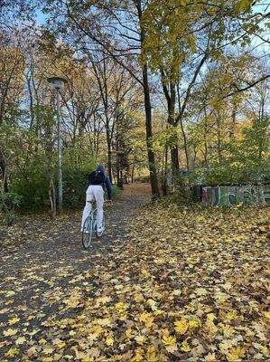 Eingang zum Schlosspark