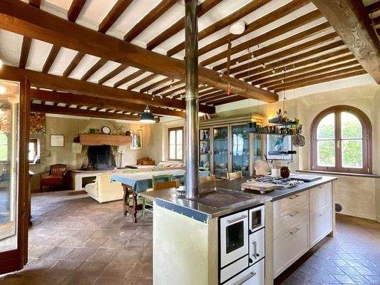 Wohn-Essbereich_offene Küche.jpg