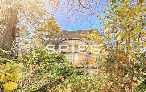 Neetze Häuser, Neetze Haus kaufen