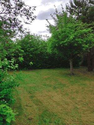 7 Grundstück Westblick