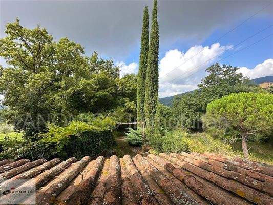 Ausblick aus dem Zimmer