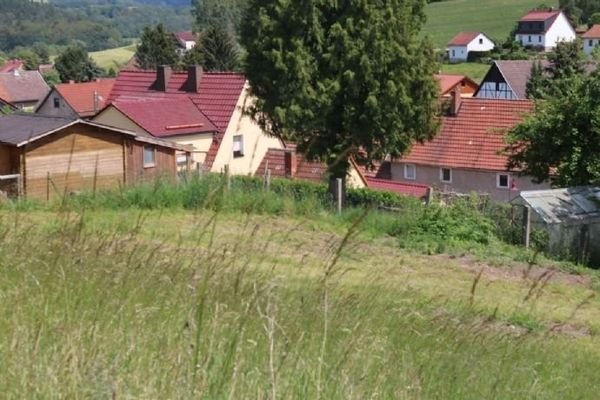 Waldnähe