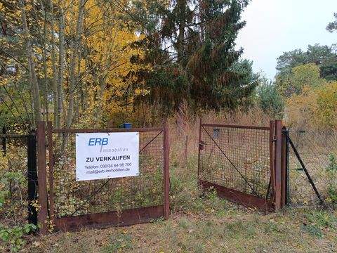 Königs Wusterhausen Grundstücke, Königs Wusterhausen Grundstück kaufen