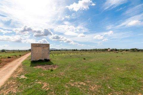 Felanitx Grundstücke, Felanitx Grundstück kaufen