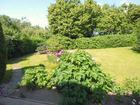 Blick in den Garten
