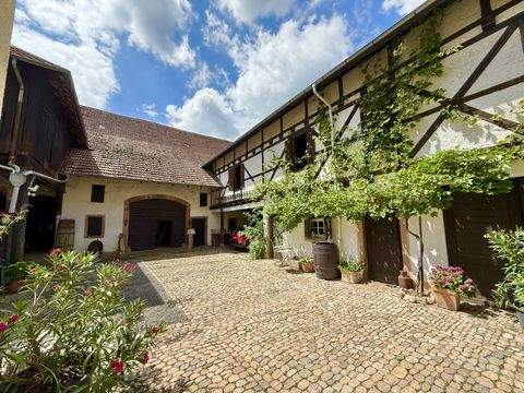 Freiburg Häuser, Freiburg Haus kaufen