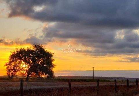 Itaí Häuser, Itaí Haus kaufen