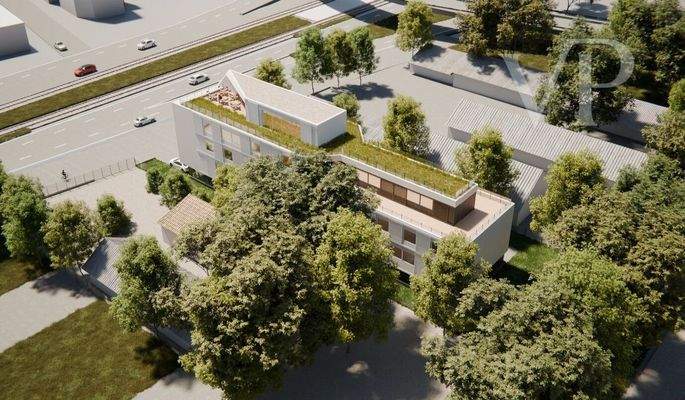 Képernyőkép 2025-08-07 122720