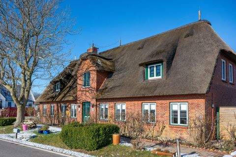 Pellworm Häuser, Pellworm Haus kaufen