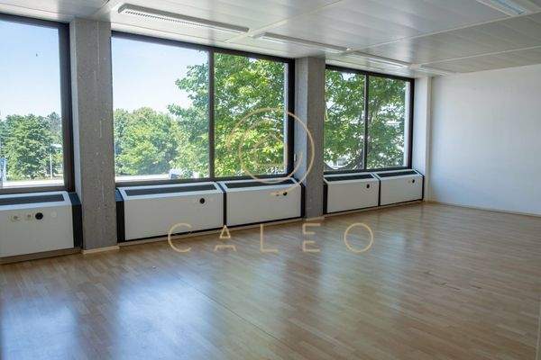 Innenansicht - Bürofläche 3