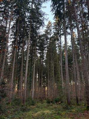 2025-12-10 15.57.19.jpg