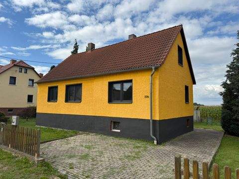 Grimma Häuser, Grimma Haus kaufen