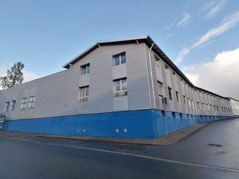 Ense Halle, Ense Hallenfläche