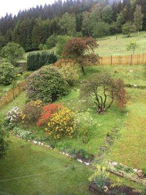 Blick von der Terasse