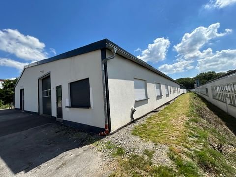 Detmold / Spork-Eichholz Halle, Detmold / Spork-Eichholz Hallenfläche