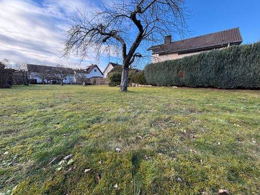 Ansicht vom Baugrundstück.jpeg