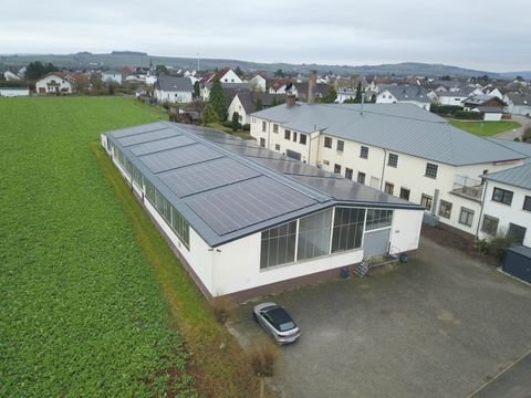 Limburg an der Lahn Halle, Limburg an der Lahn Hallenfläche