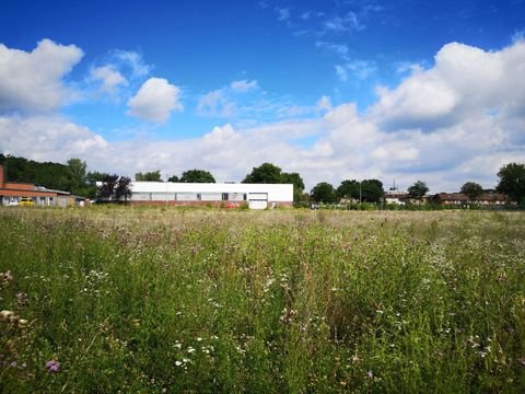 Oelde Halle, Oelde Hallenfläche