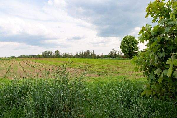 Blick zum neuen Baufeld