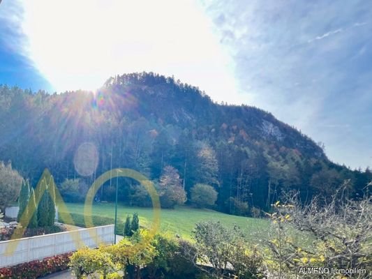 Bergblick am Waldesrand