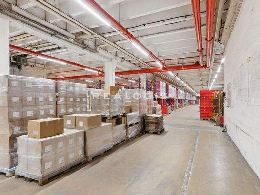 Innenansicht Hallenfläche