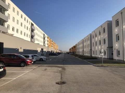 Wiener Neustadt Wohnungen, Wiener Neustadt Wohnung mieten