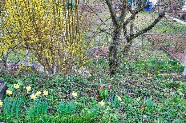 Eigener Garten direkt am Haus
