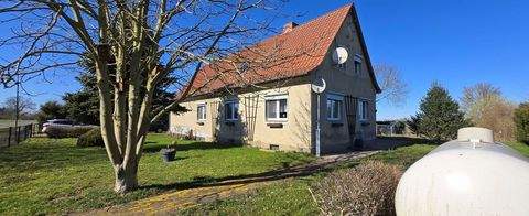 Altmärkische Wische-Falkenberg Häuser, Altmärkische Wische-Falkenberg Haus kaufen