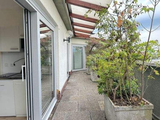 Moderne Terrasse mit Pflanzen