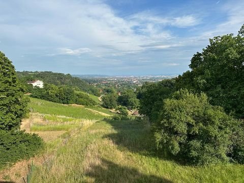 Radebeul Wohnungen, Radebeul Wohnung kaufen