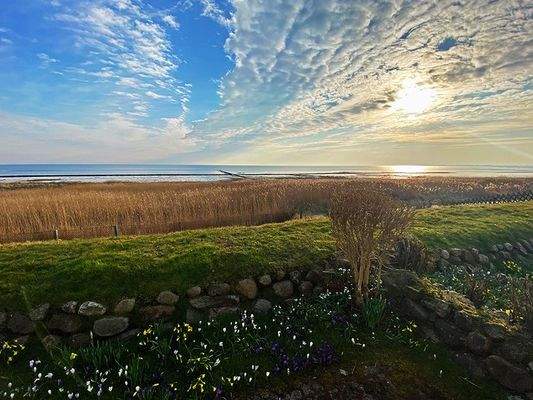 ... morgens am Wattenmeer
