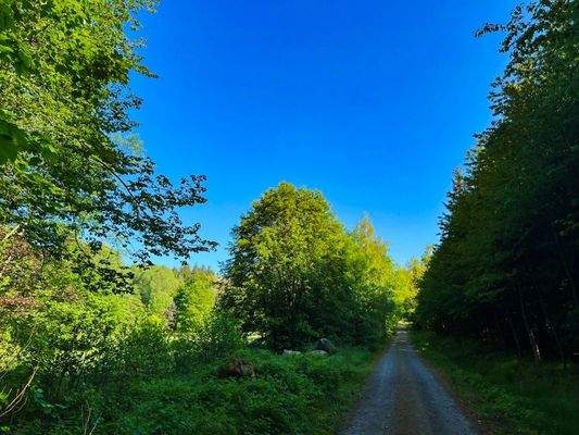 Am Grundstück angekommen