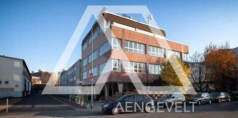 Frankfurt am Main Büros, Büroräume, Büroflächen 