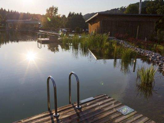 Wohnung_Erlebnisdorf_Feistritz_Rosental_zu_kaufen_verkaufen_00055