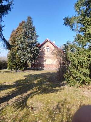 Blick zum Giebel Wohnhaus.jpg