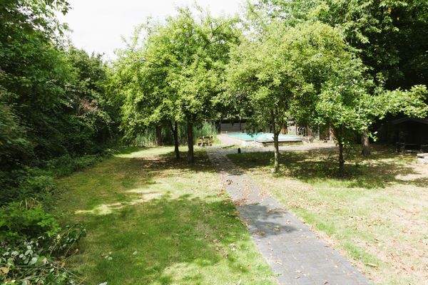 Blick von der Terrasse in den Garten