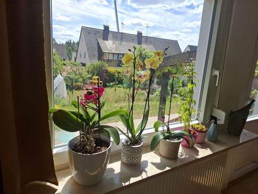 Sicht in den Garten aus EG