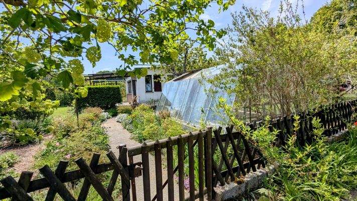 Eingang Gewächshaus Laube