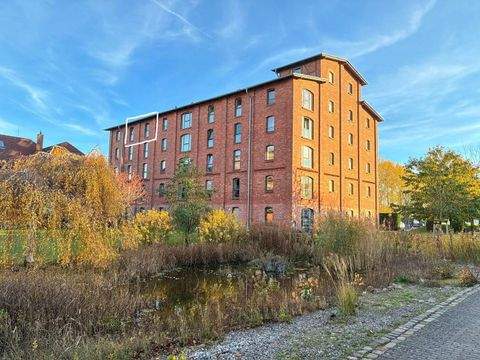 Greifswald Wohnungen, Greifswald Wohnung kaufen